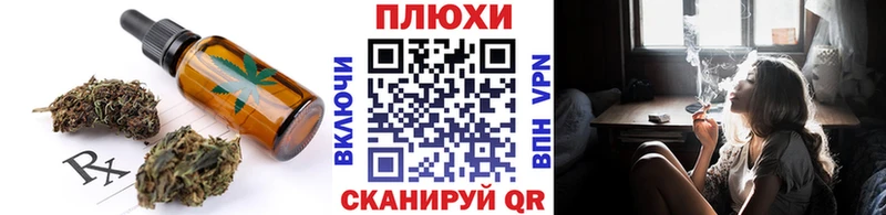 где купить   Чекалин  Печенье с ТГК конопля 